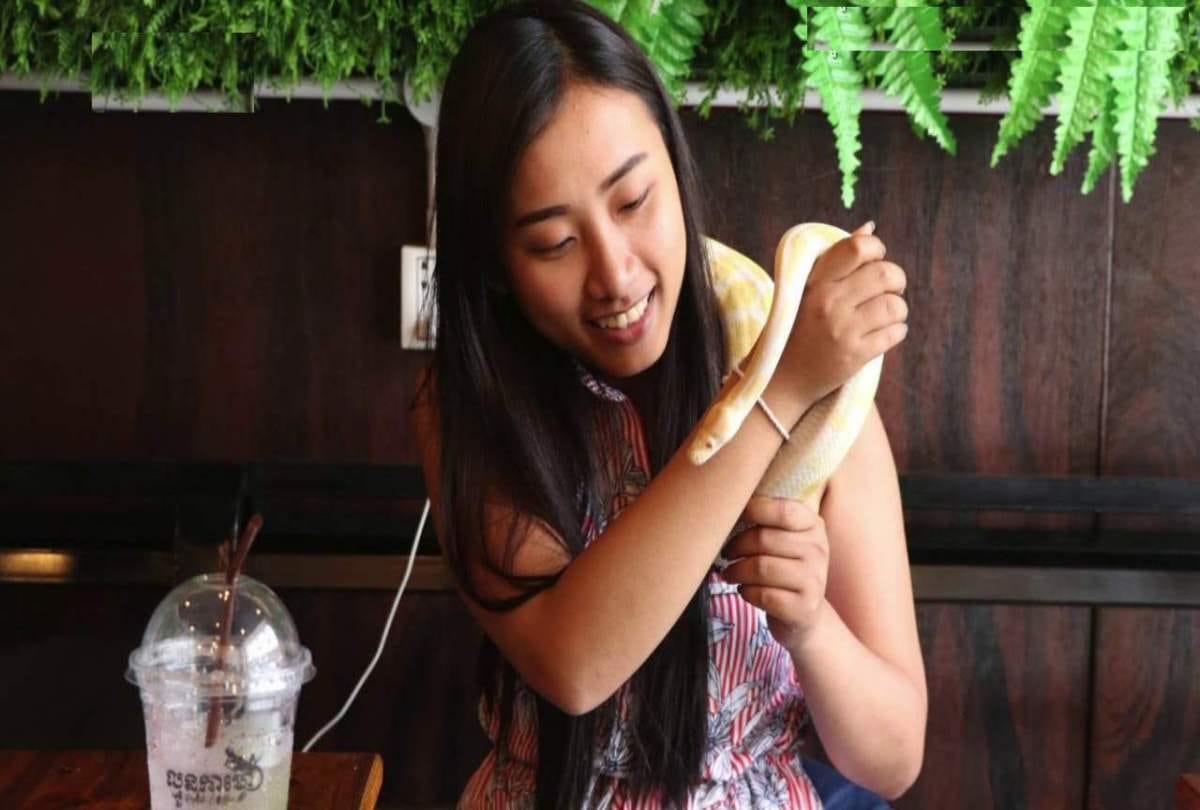 reptile themed cafe in Cambodia where pythons can be spotted on coffee table