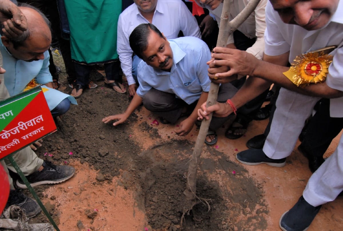 CM arvind kejriwal launches mega plantation drive in delhi