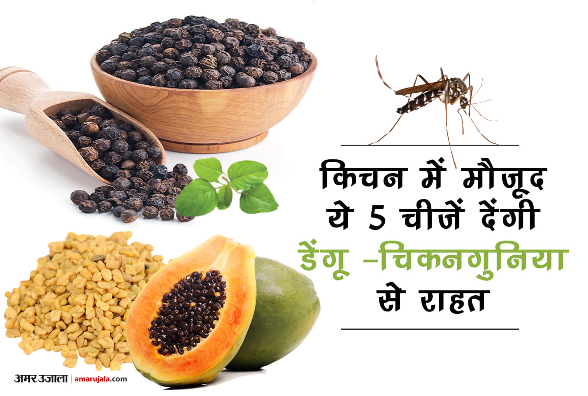 5 home remedies for dengue and chikungunya