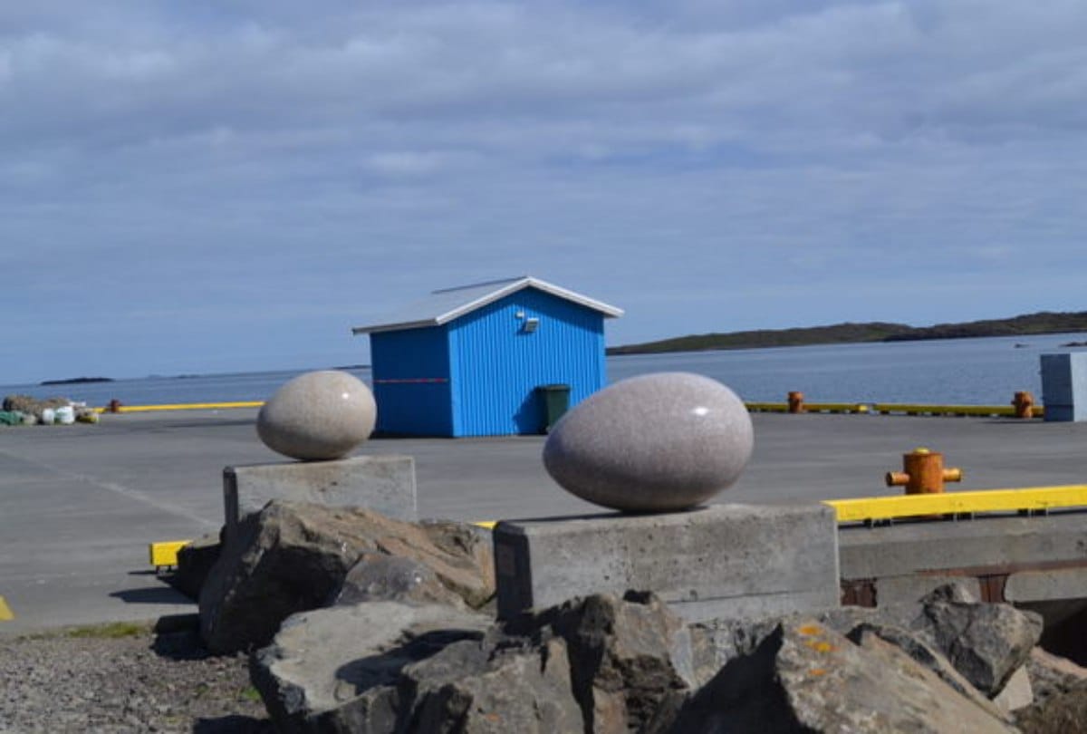 know about these egg sculptures that represent the native birds of eastern Iceland