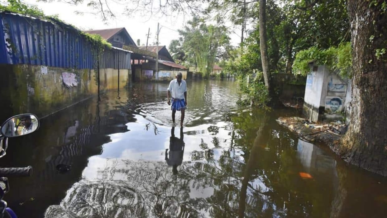 Farmers of  wayanad District of Kerala are in worry after mass death of earthworms in floods