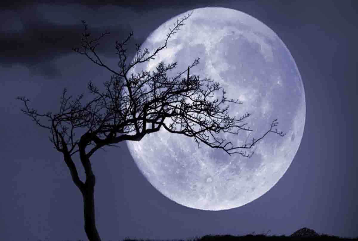 Amavasya 2018 do not do these things today