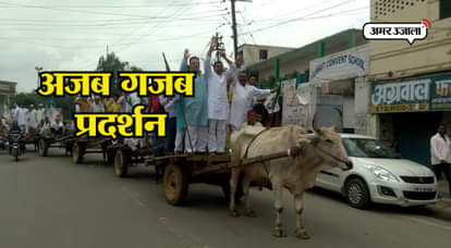 Protest with bull cart and donkey in uttar Pradesh