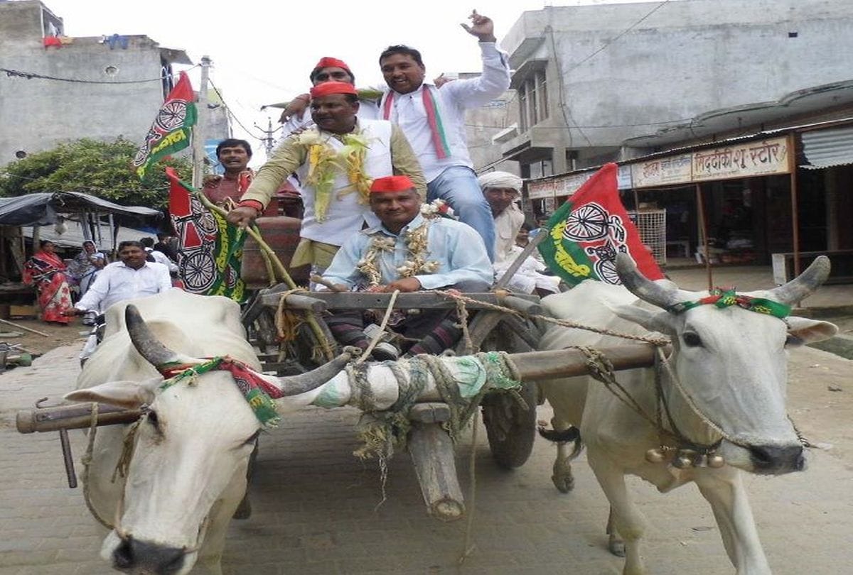 MLA goes on bullock cart