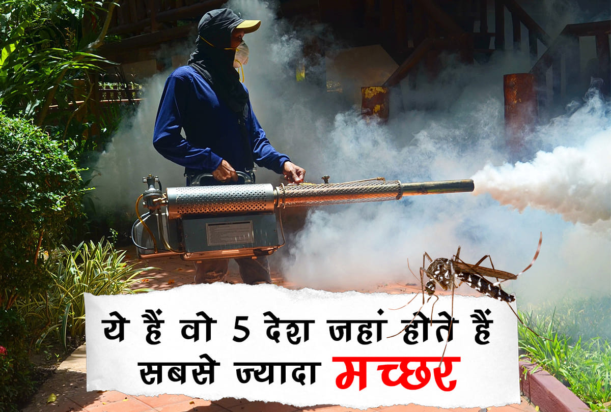 Dengue: countries with most mosquitoes in the World
