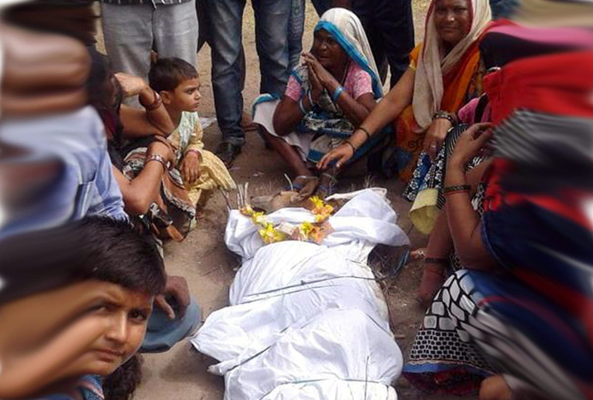 dog cremation in kanpur
