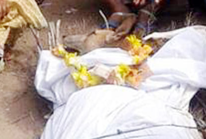 dog cremation in kanpur
