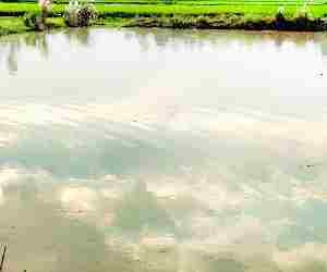 Three die of drowning