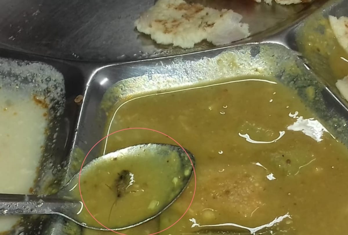 insects found in food of BBAU mess