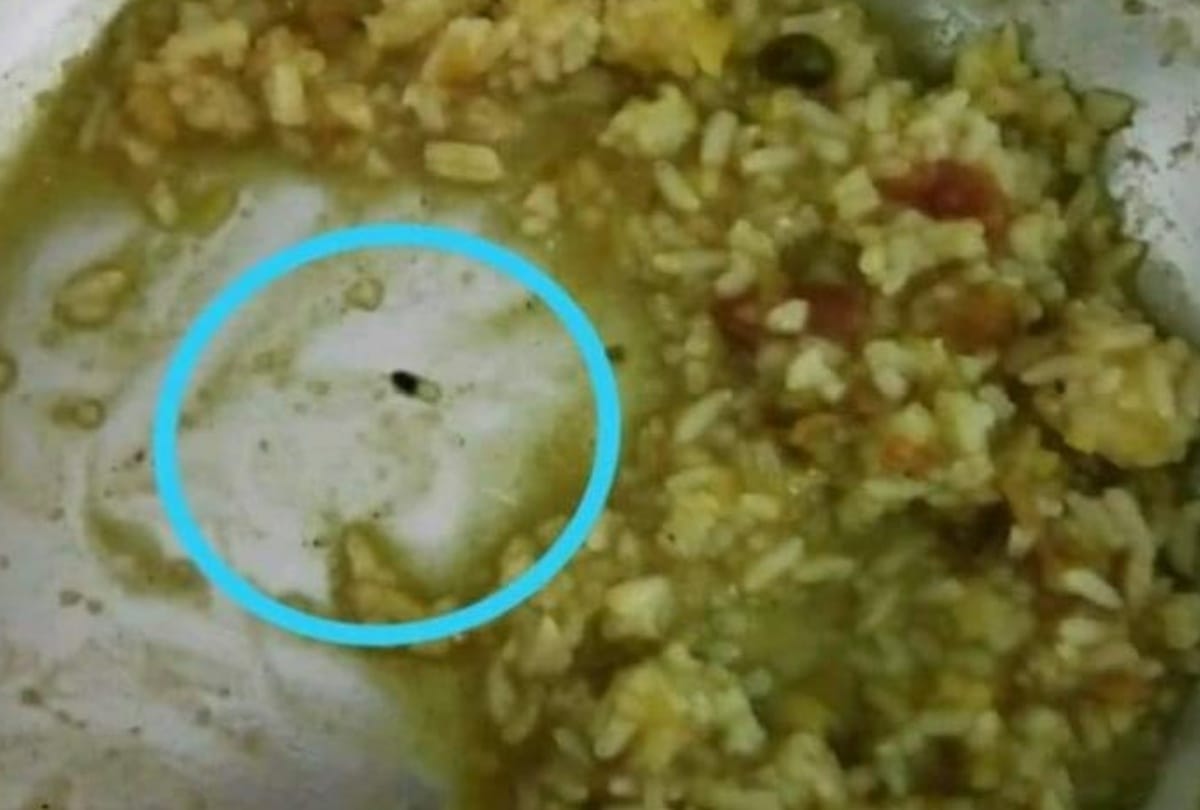insects found in food of BBAU mess