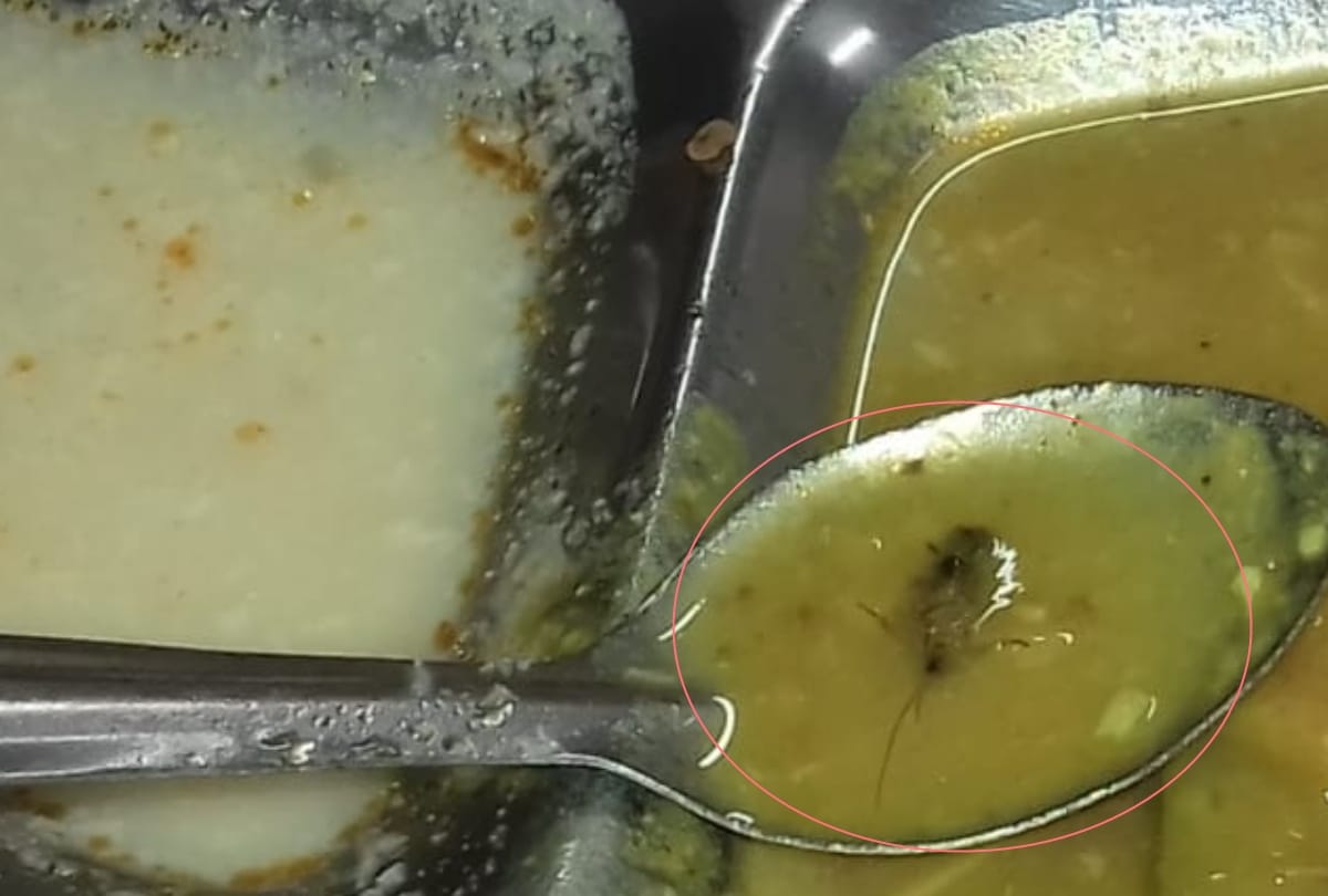 insects found in food of BBAU mess