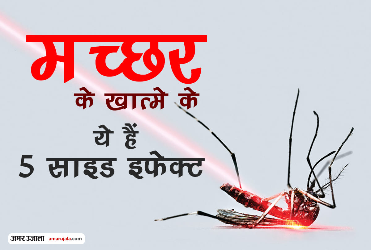 Effects if dengue malaria chikungunya Mosquitoes Would Happen If We Eliminate from the world