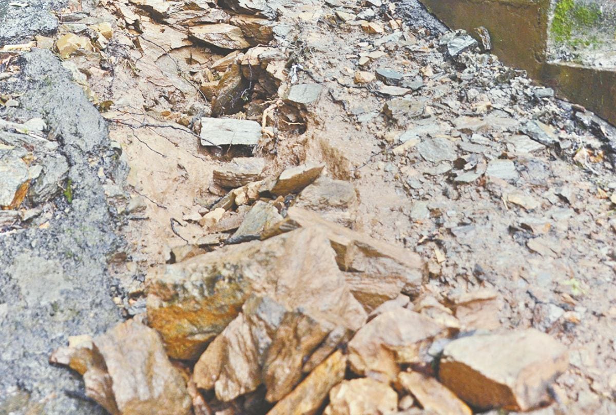 शनान में भूस्खलन, फागली स्कूल परिसर में गिरा पेड़