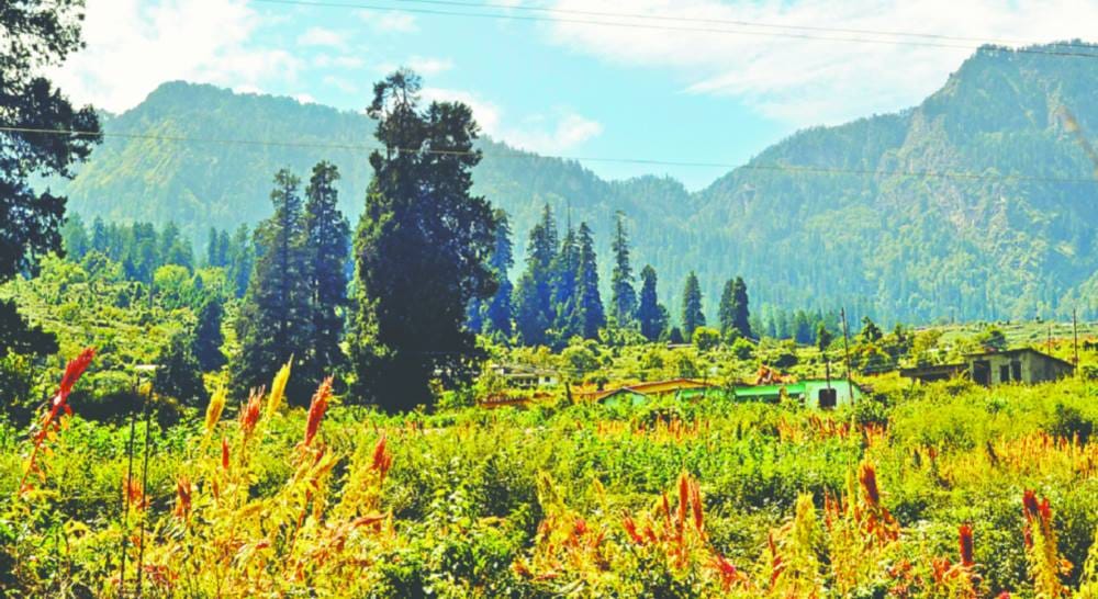 urgam valley is an example on environment conservation