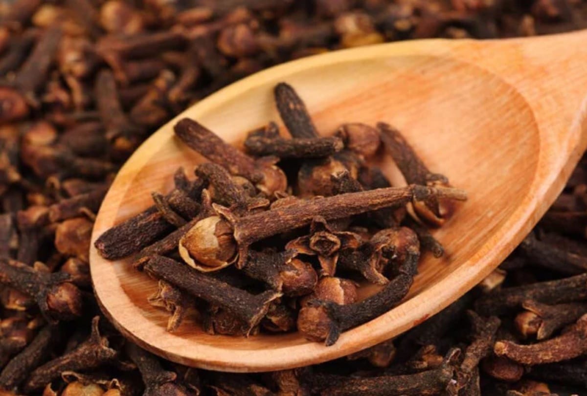 home remedies for mosquitoes bite cure from dengue malaria chikungunya