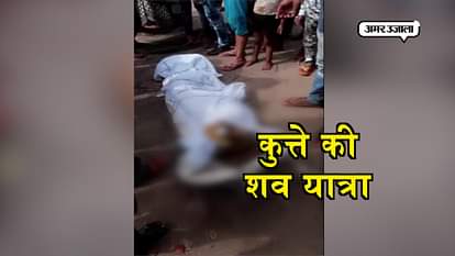 Dog cremation like humen in kanpur