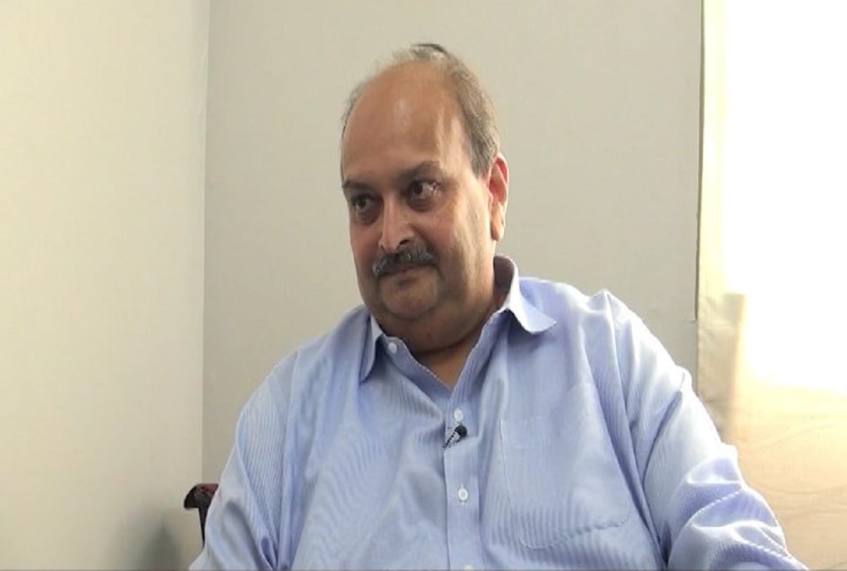 ED files affidavit against mehul choksi and said given many opportunities to him for joining probe