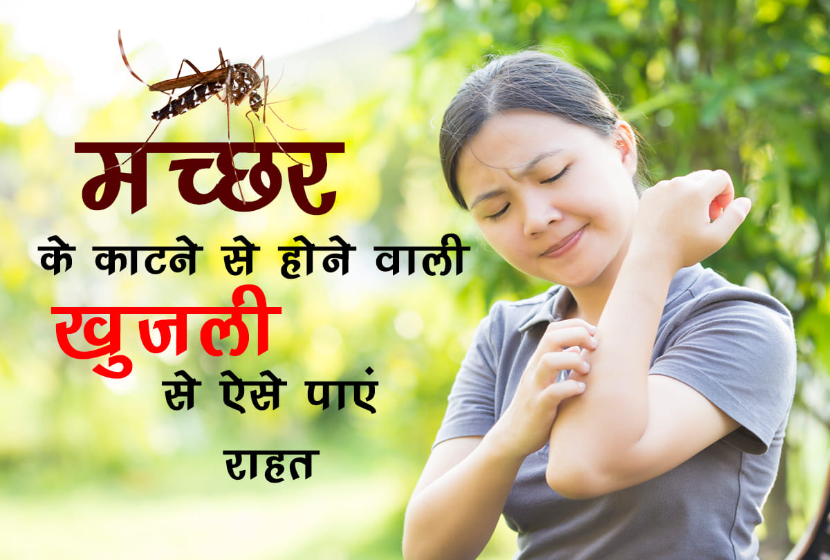 Home remedies to get relief from mosquito bites itching