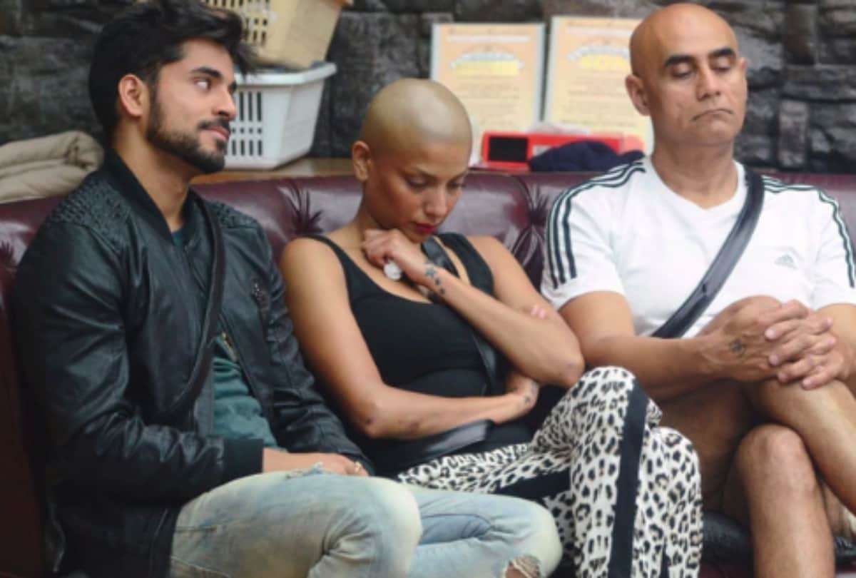 bigg boss 12 ex contestant Diandra Soares claim salman khan show scripted