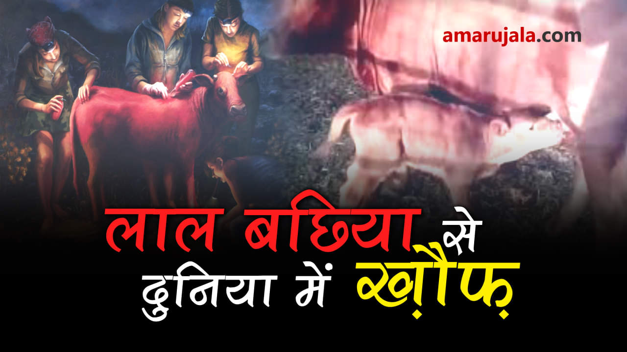 प्रतीकात्मक तस्वीर