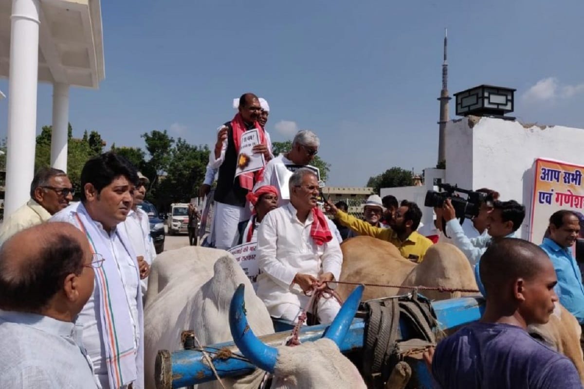 Congress MLA went Vidhan Sabha via Bullock cart in Chhatisgarh, protested against State Government