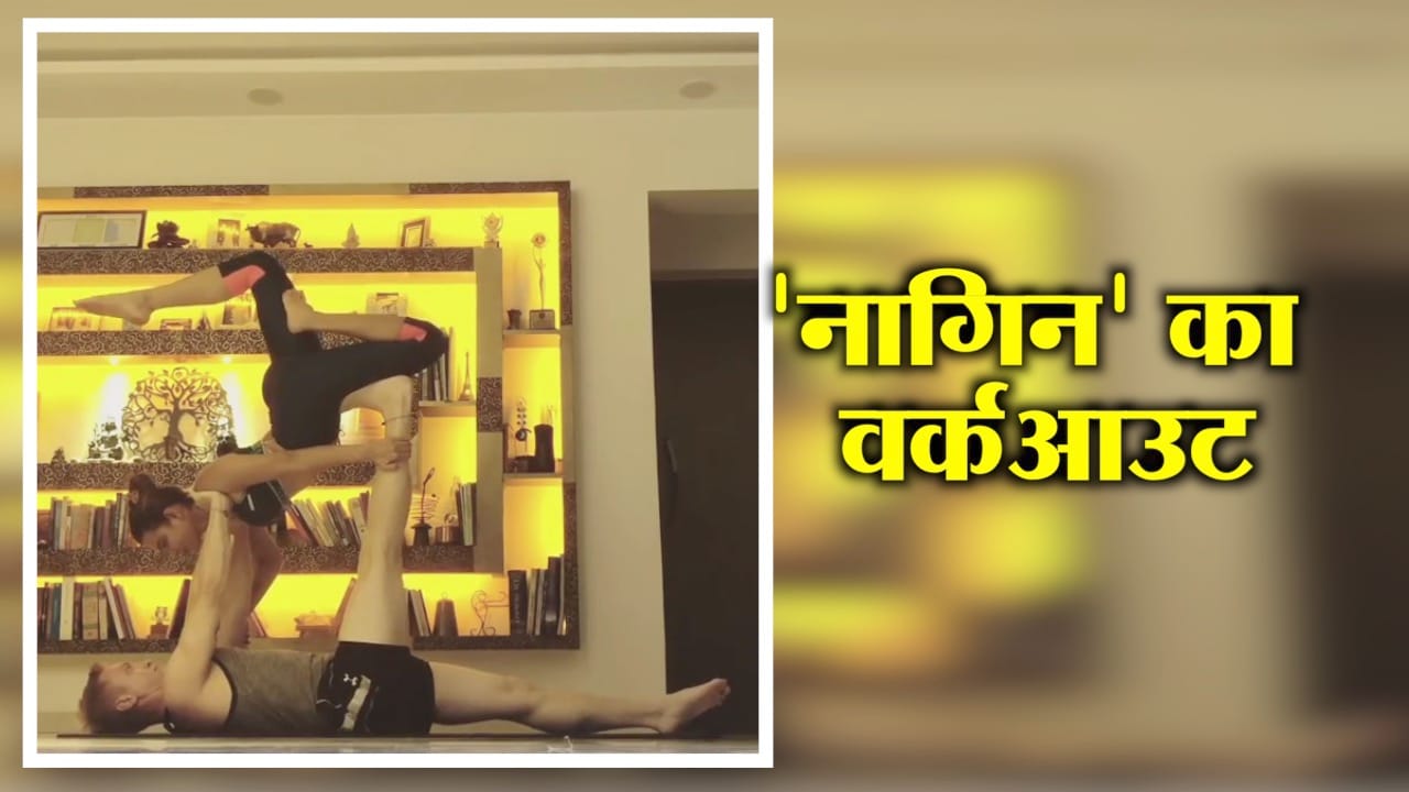 वायरल वीडियो