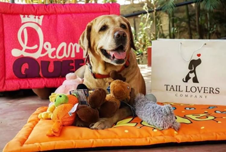 Centre Has Notified New Pet Shop Rules By Which One Needs Registration