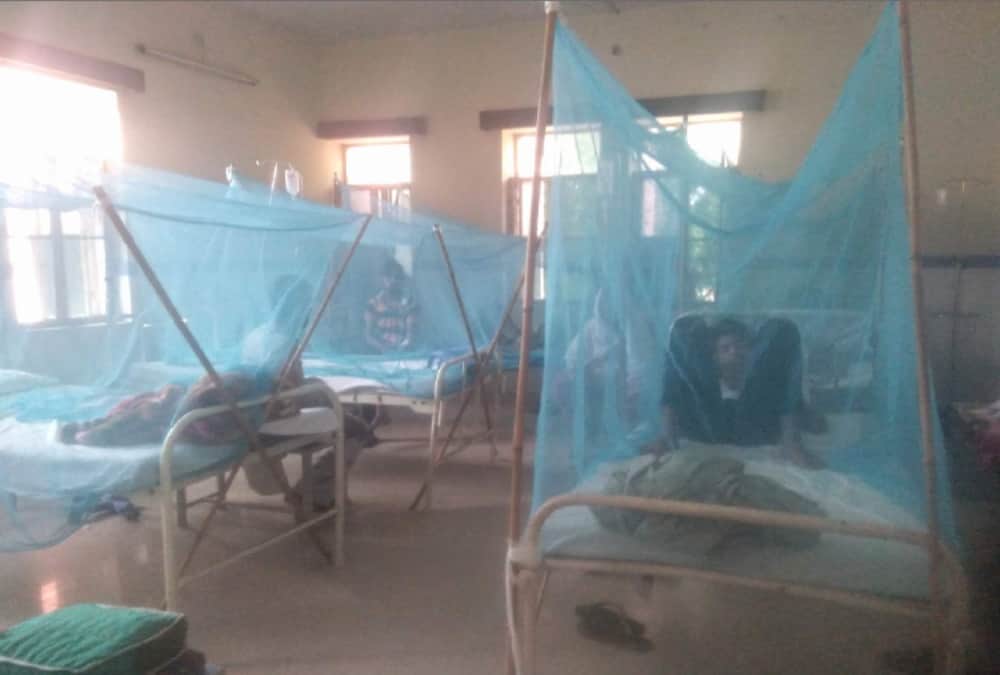 Dengue fever patient increase in dehradun bed and stretcher full in Hospitals