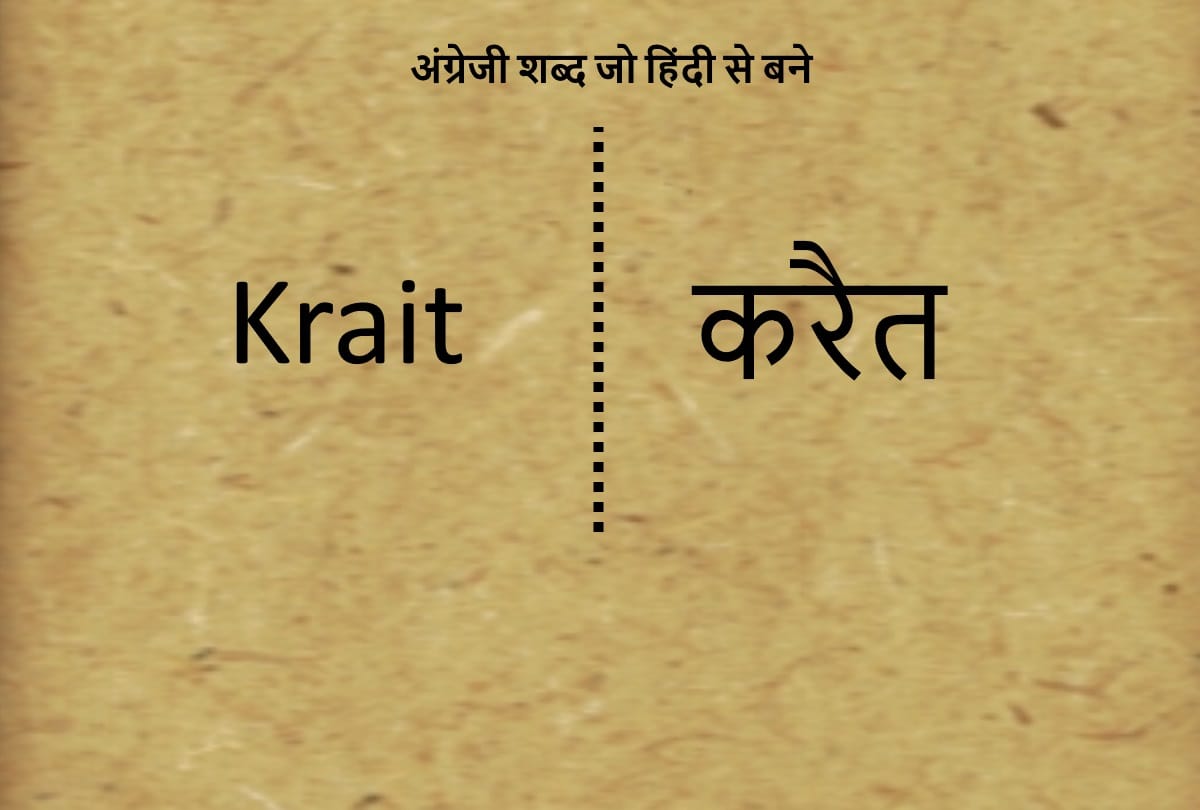 Happy Hindi Diwas 2020: English Words Originated From Hindi Language Common English Words Borrowed From Hindi