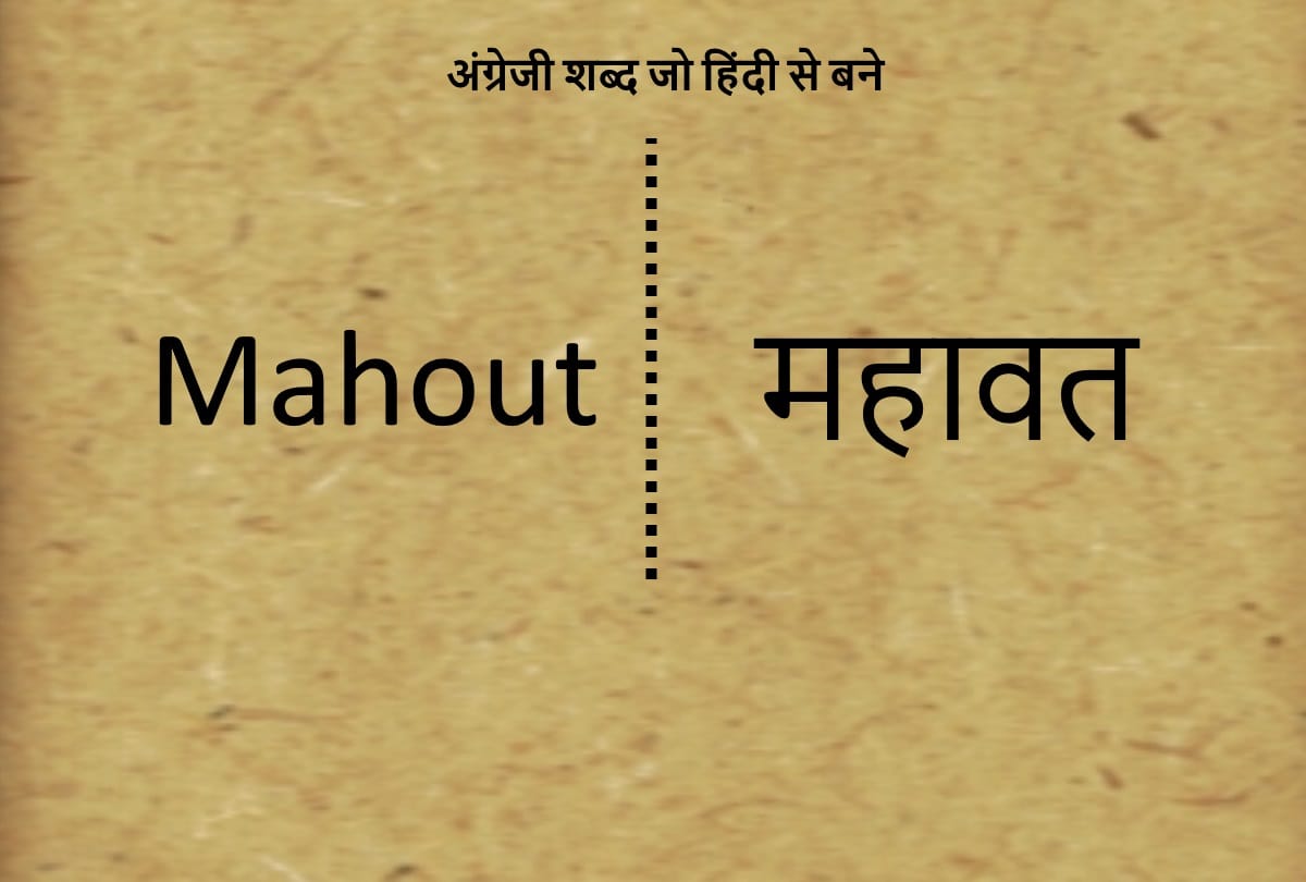 Happy Hindi Diwas 2020: English Words Originated From Hindi Language Common English Words Borrowed From Hindi