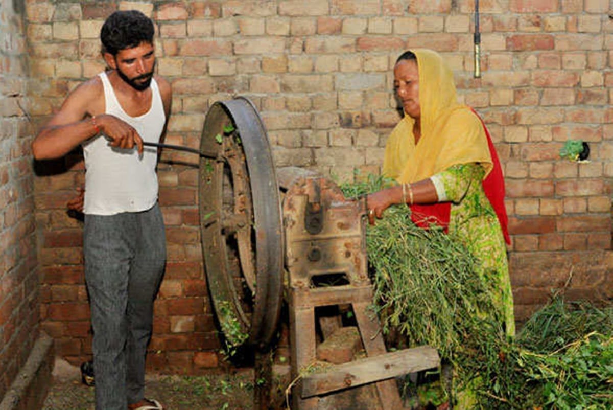 daily labourer borrows 200 rupees to buy a lottery ticket and win jackpot of 1.5 crore