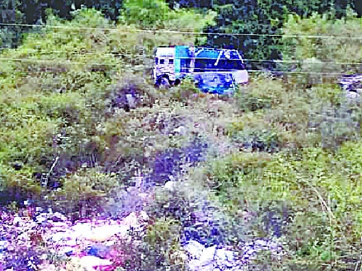 Truck collapses in ditch, driver dies