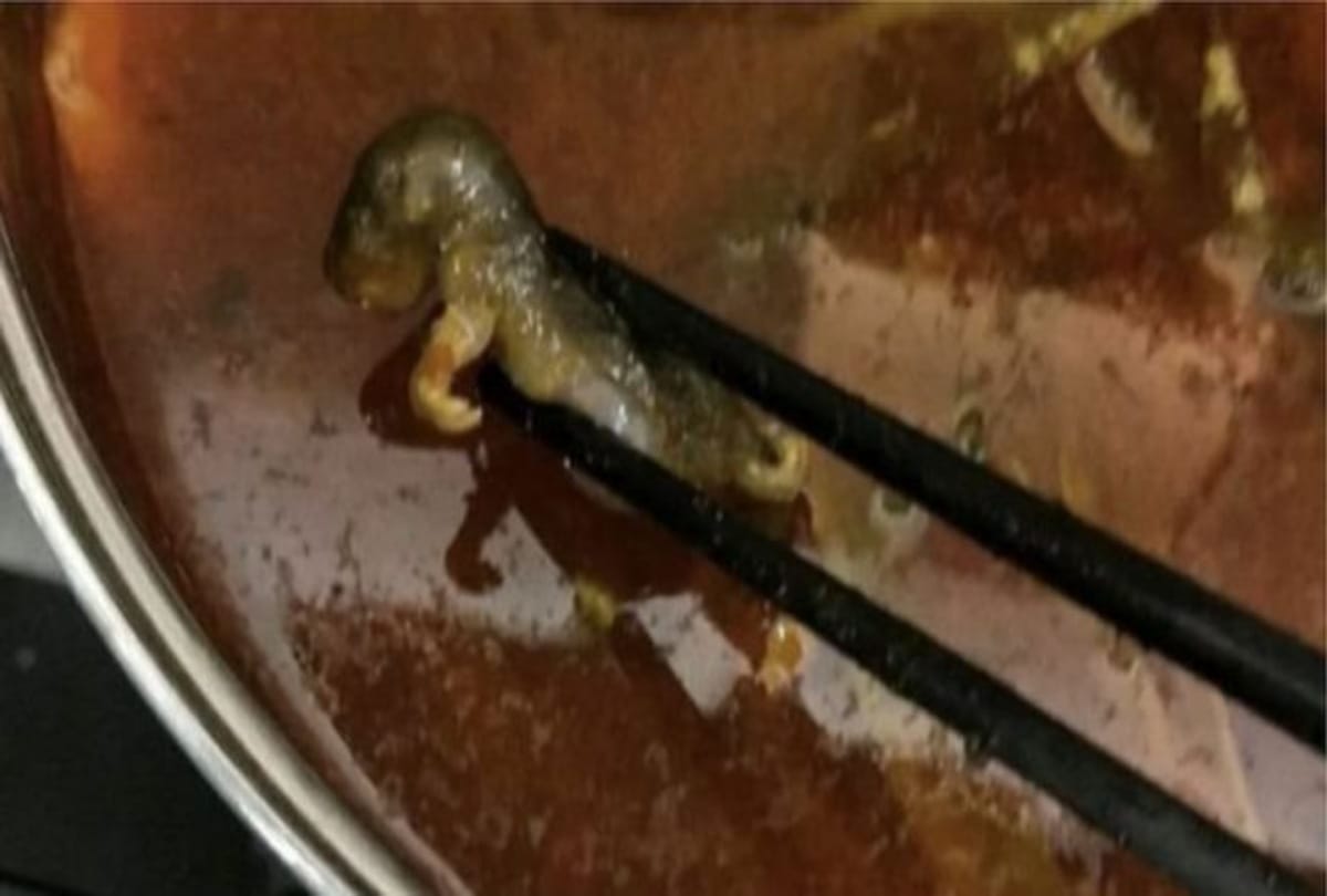 Pregnant Woman found Dead Rat in soup at China