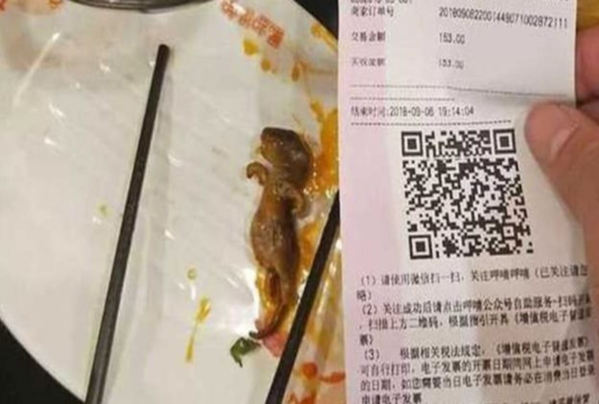 Pregnant Woman found Dead Rat in soup at China