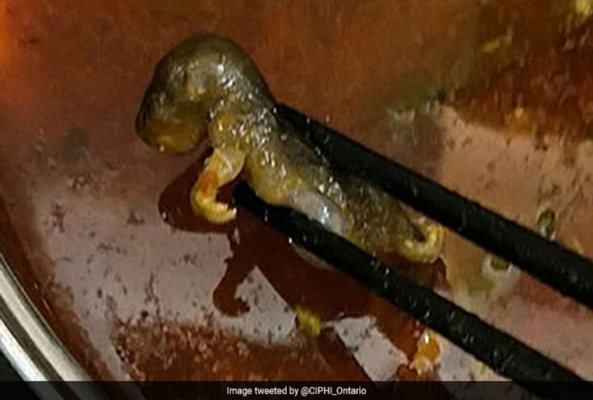 Pregnant Woman found Dead Rat in soup at China