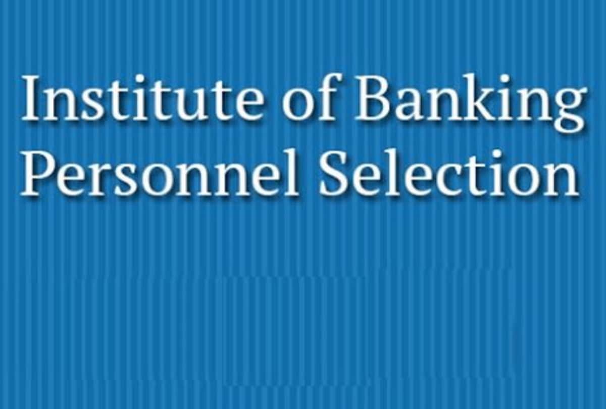 IBPS Clerk Bharti 1558 posts vacant know how to apply