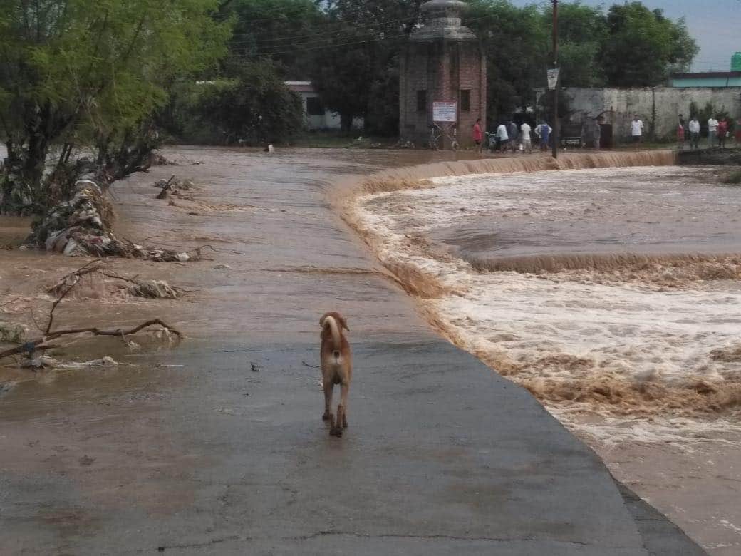 flood in dehradun raiwala many family stuck in flood