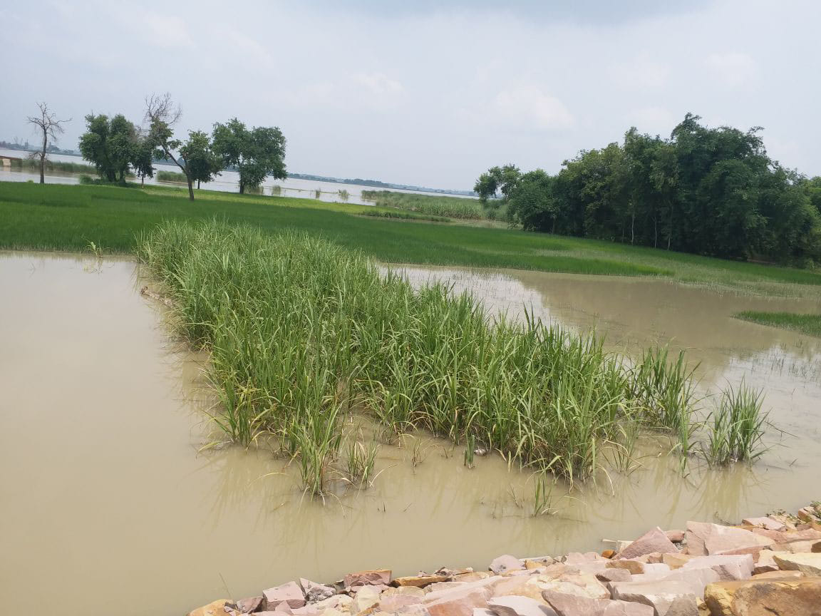 As the water level of Ghaghra increases again, people from coastal areas