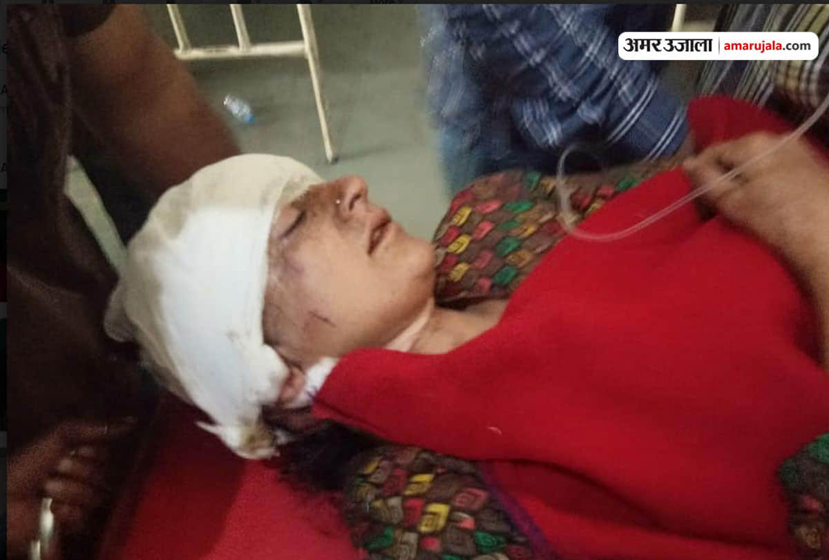 mini bus falls into gorge in kishtwar jammu kashmir several passengers injured and dead