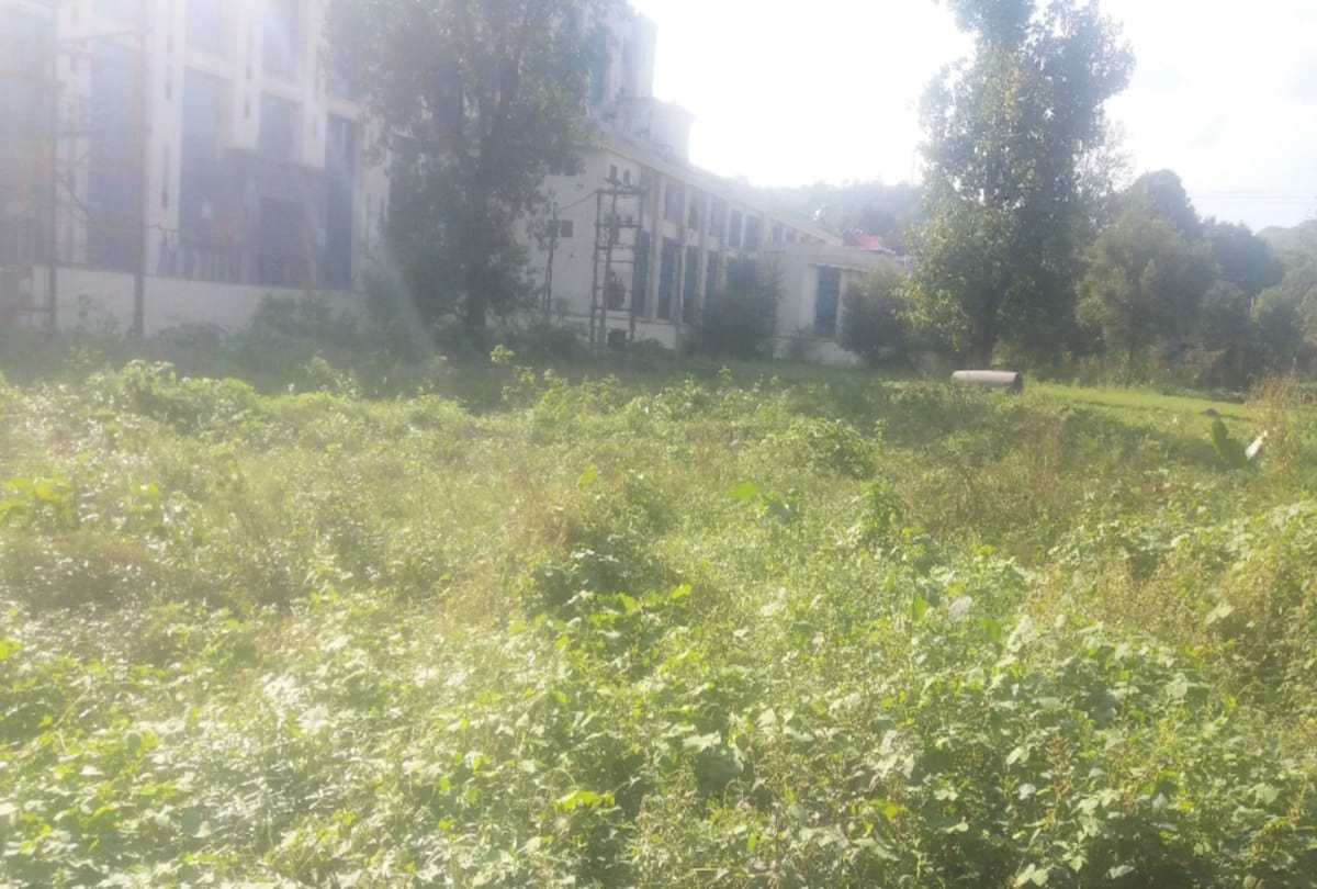 cancer treatment in medical college ner chowk mandi himachal