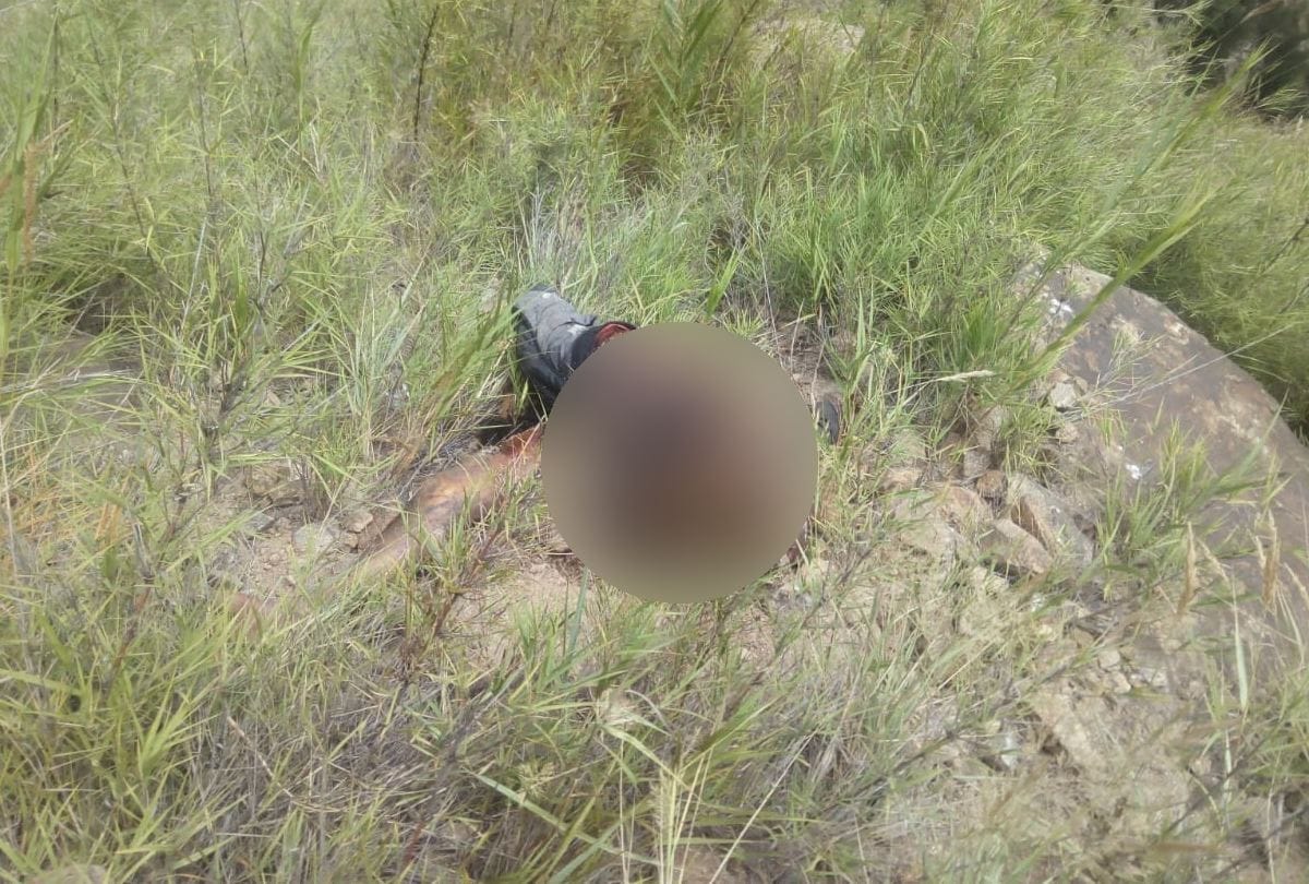 Three youths killed as Alto falls into gorge Kinnaur Himachal Pradesh