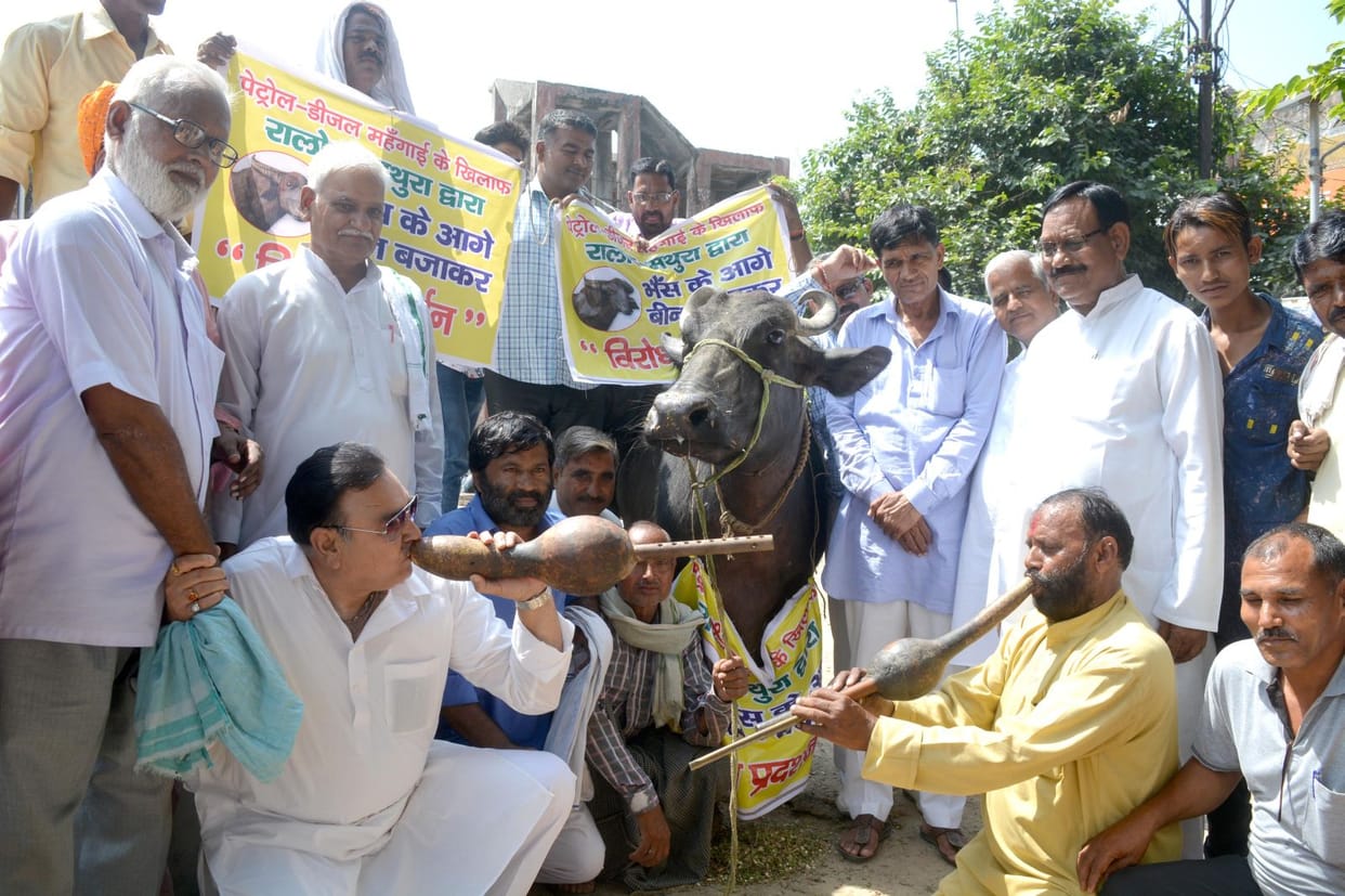 भैंस के आगे बीन बजाकर रालोद ने किया प्रदर्शन