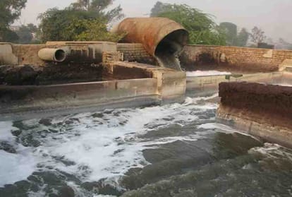 News related to Mahakumbh and Tanners