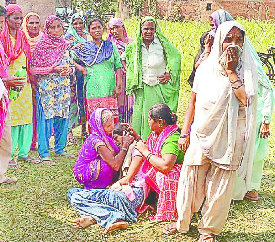 Thieves ran down on the noise of youth, falls in pond, death