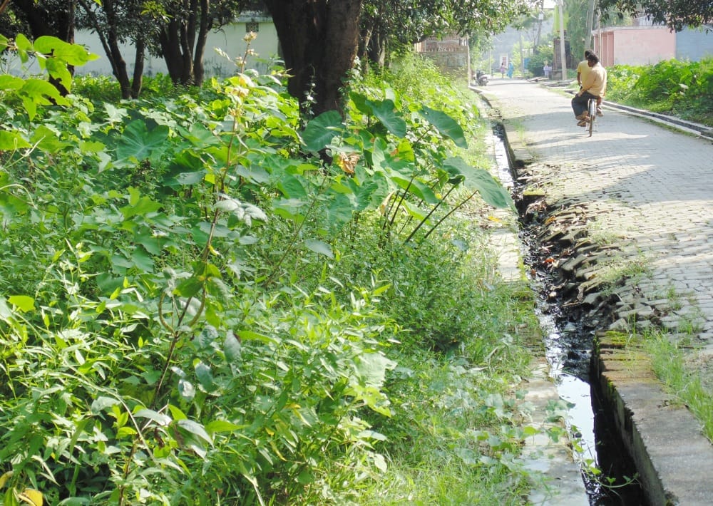 People of Rajiv Nagar get upset due to fogging