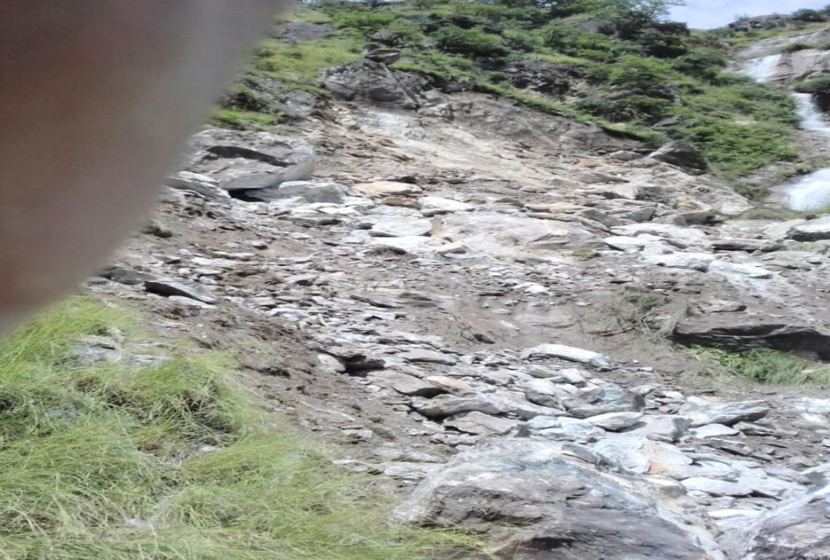 Sheeps and goats killed due to massive landslide in rampur bushahr shimla