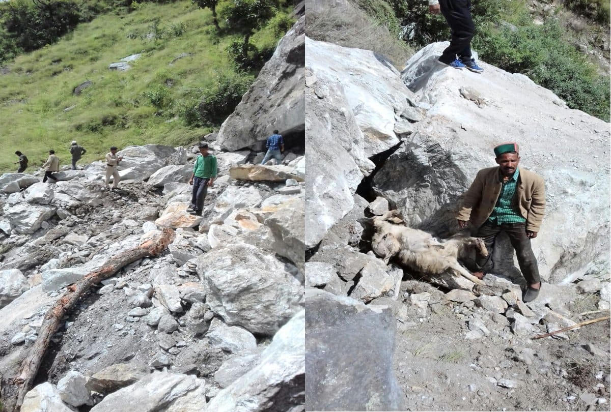 Sheeps and goats killed due to massive landslide in rampur bushahr shimla