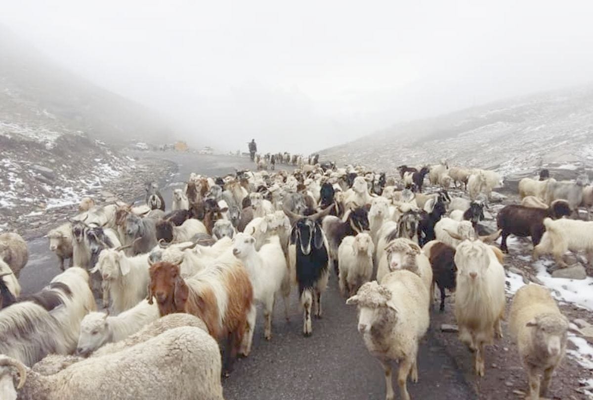 Fresh Snowfall in Rohtang Manimahesh Himachal Pradesh