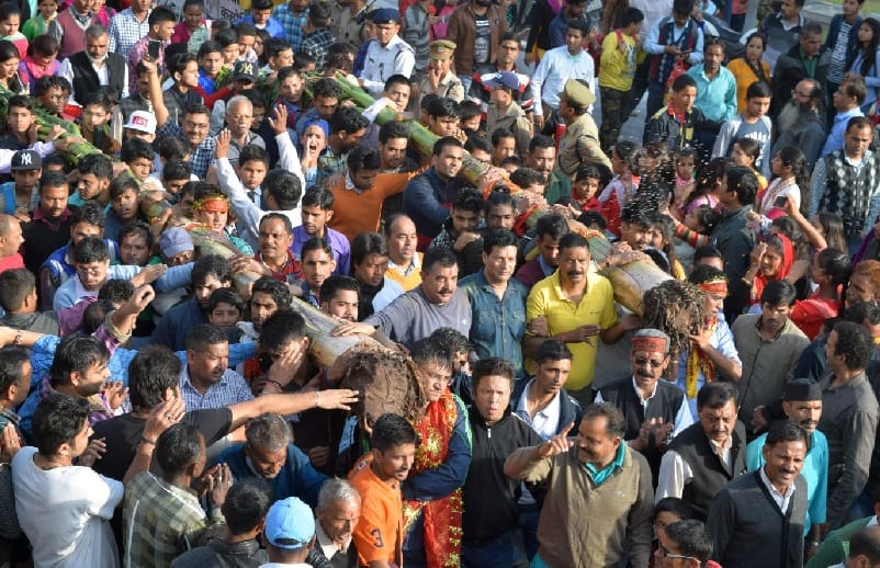 नाचते झूमते कदली वृक्ष लेकर पहुंचे हजारों श्रद्वालु