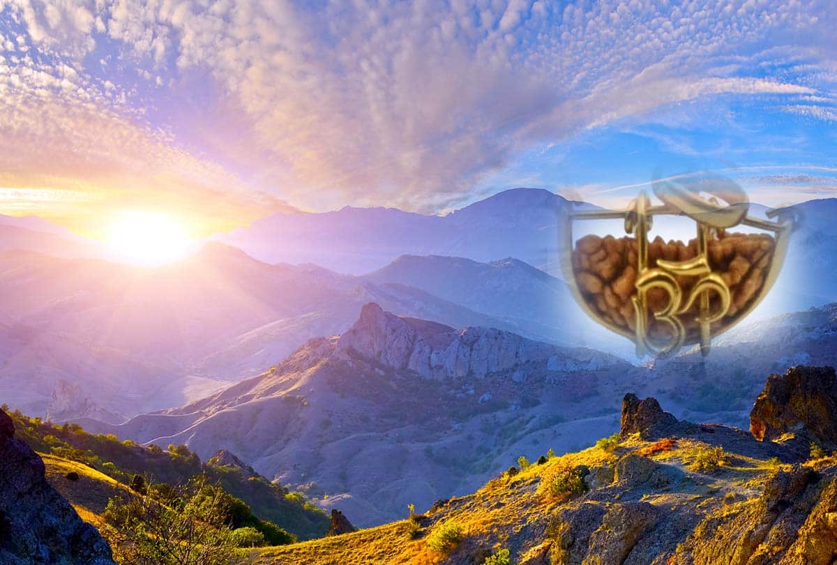 know about interesting facts related to rudraksha